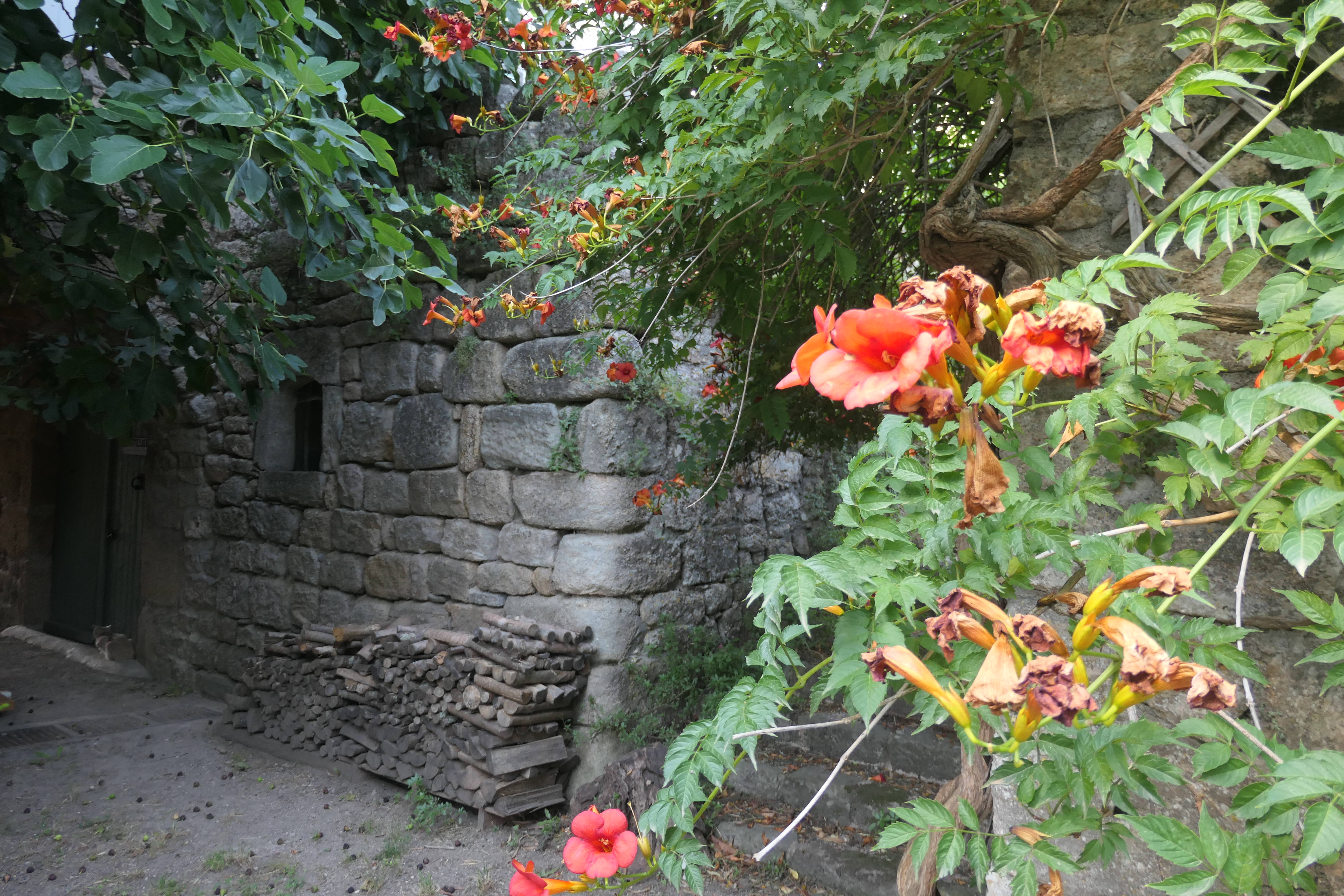 Vieux murs
