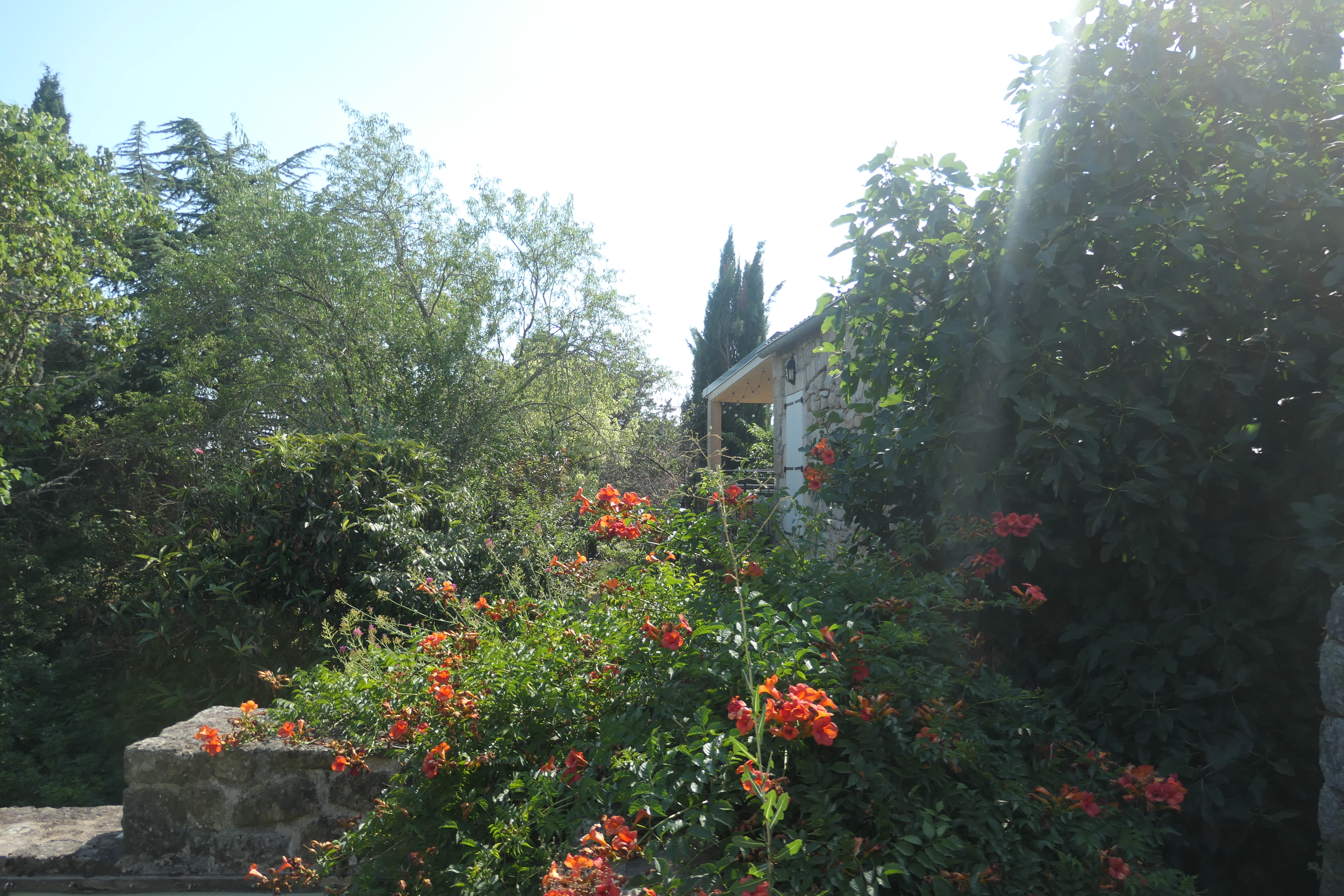 Jardin