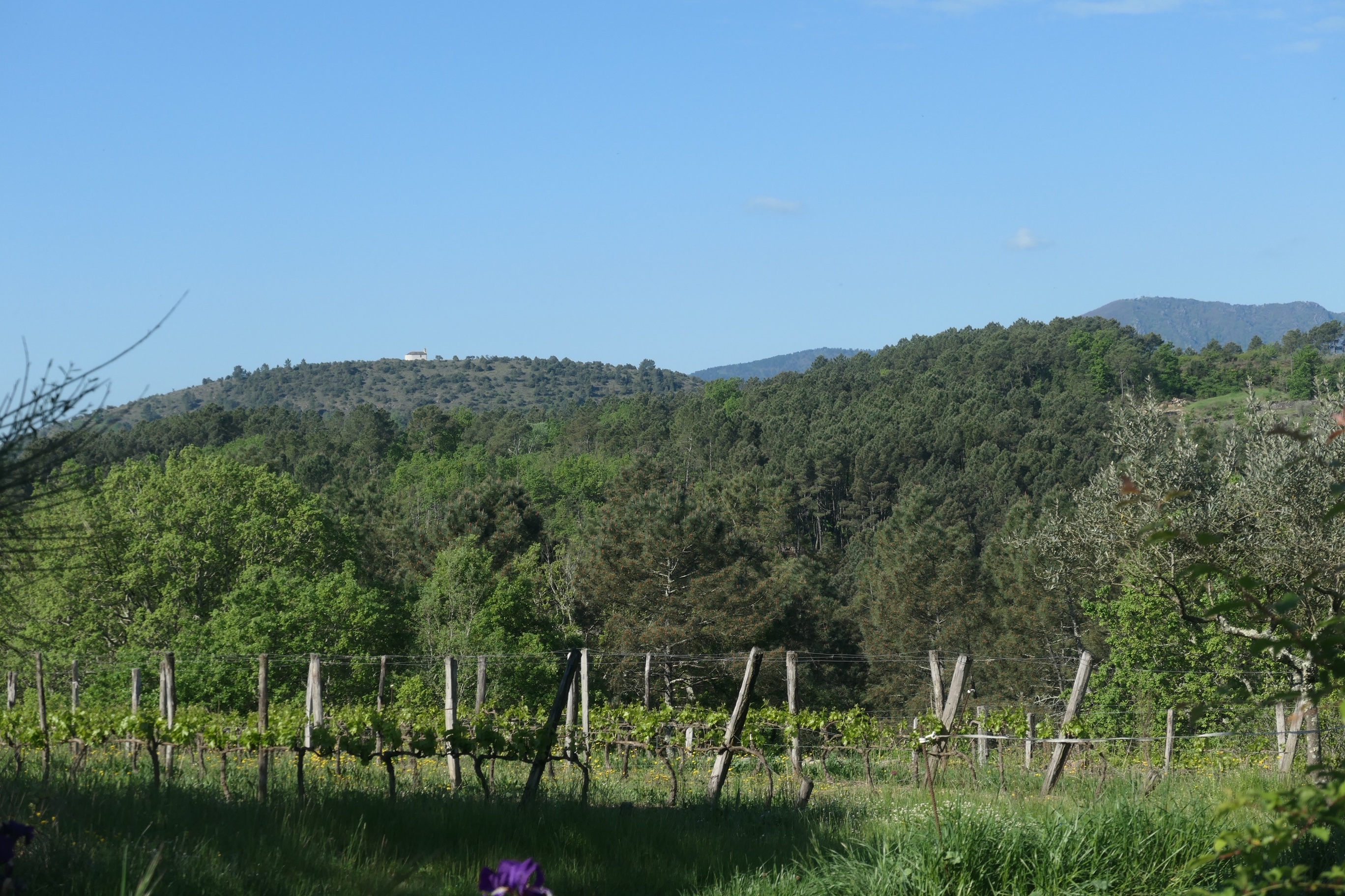 paysage